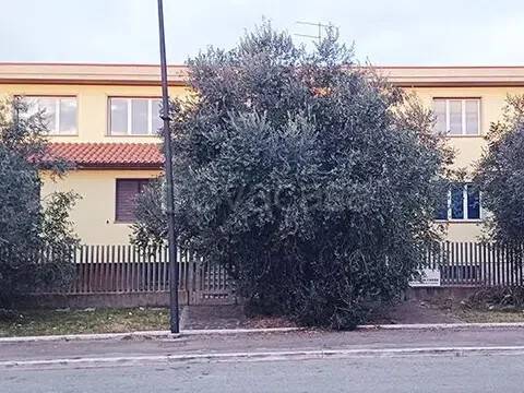 locale commerciale in vendita a Grosseto