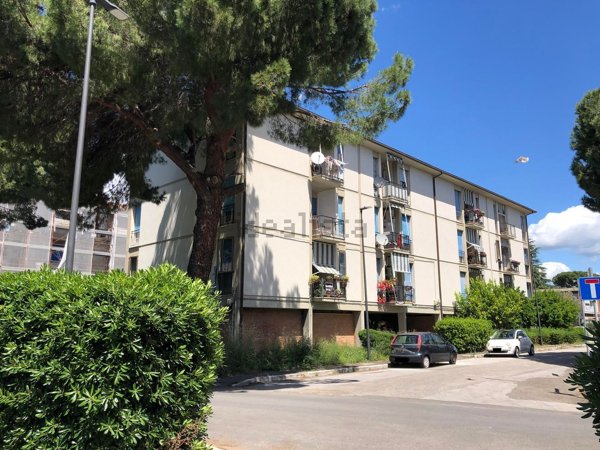 appartamento in vendita a Grosseto