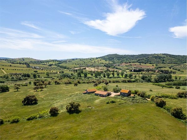 quadrivano in vendita a Grosseto