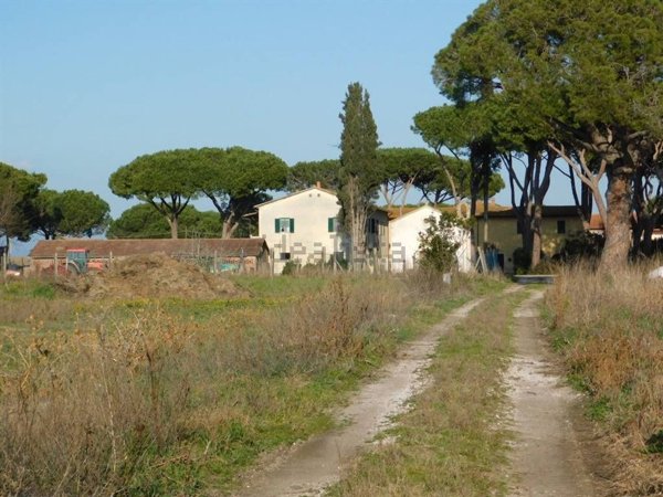 casale in vendita a Grosseto in zona Pianetto