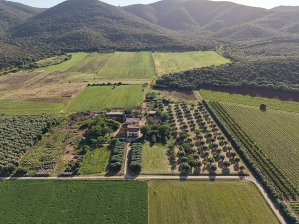 casa indipendente in vendita a Grosseto in zona Alberese