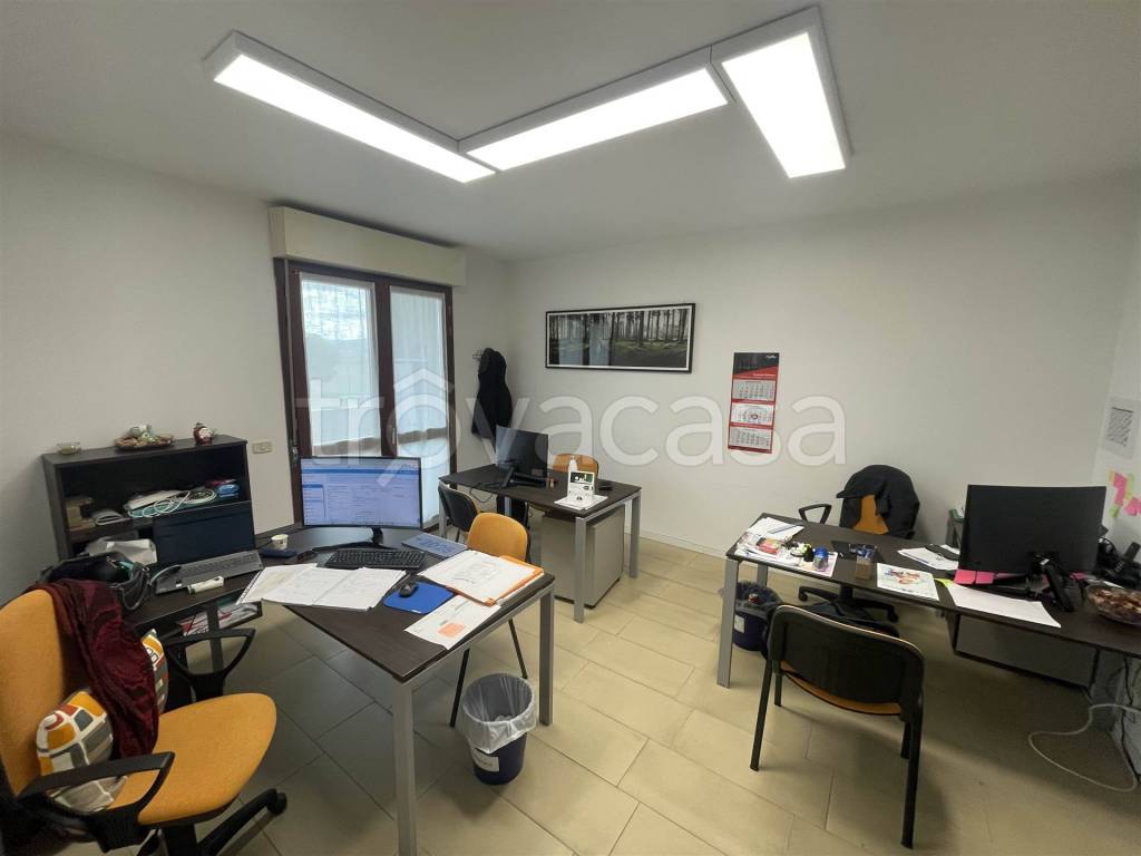 quadrivano in vendita a Grosseto in zona Orcagna