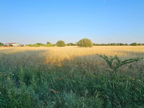 terreno agricolo in vendita a Grosseto in zona Orcagna