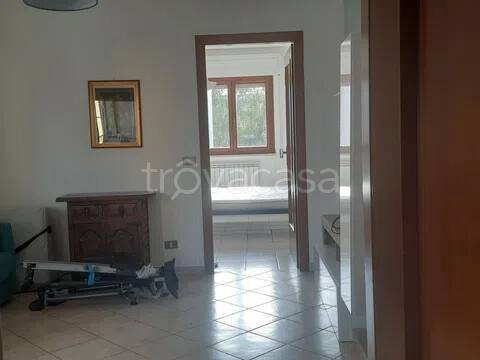 appartamento in vendita a Grosseto