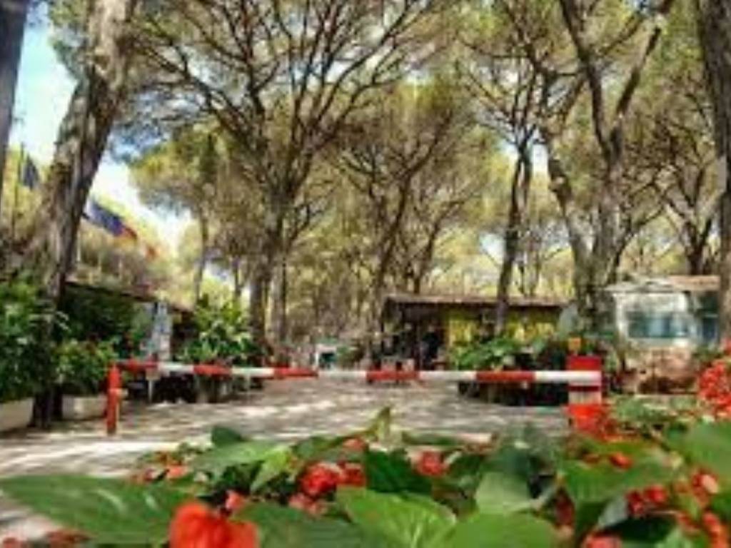 negozio in vendita a Grosseto in zona Marina di Grosseto