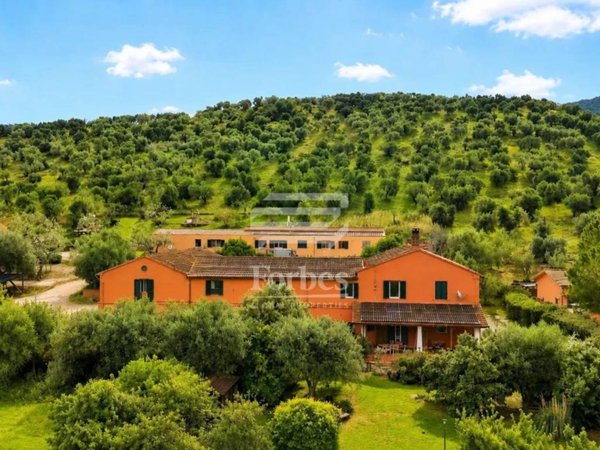 casa indipendente in vendita a Grosseto in zona Roselle