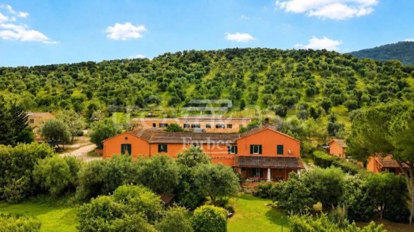 casa indipendente in vendita a Grosseto in zona Roselle