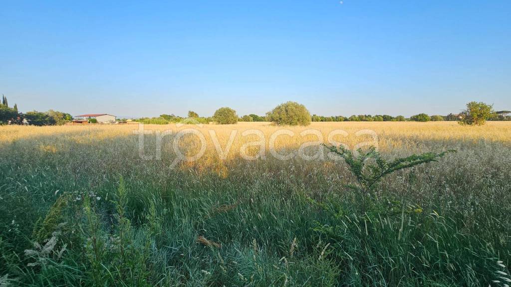 appartamento in vendita a Grosseto
