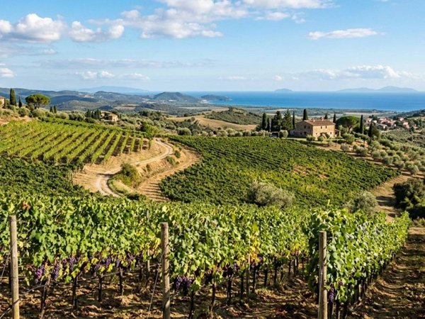 negozio in vendita a Grosseto in zona Istia d'Ombrone-Le Stiacciole