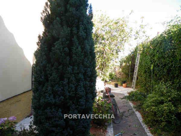 appartamento in vendita a Grosseto in zona Montepescali