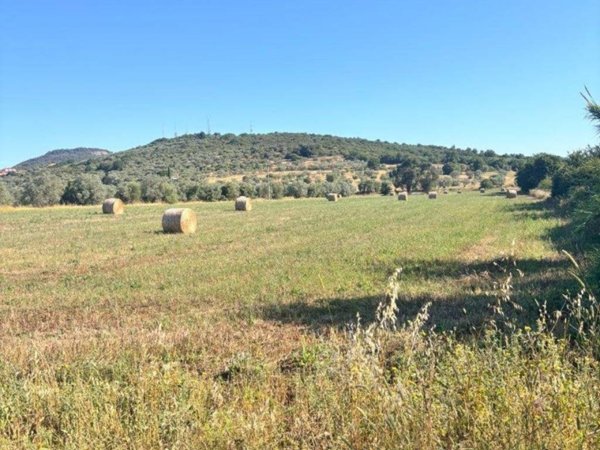 terreno agricolo in vendita a Grosseto in zona Fattoria Sterpeto