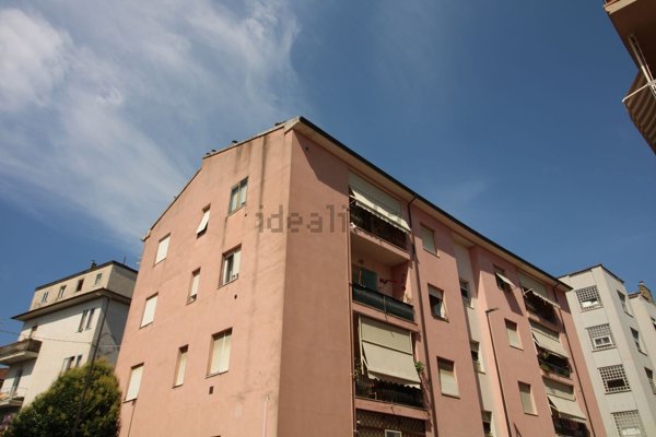 appartamento in vendita a Grosseto
