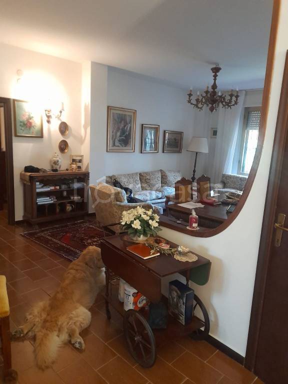 appartamento in vendita a Grosseto