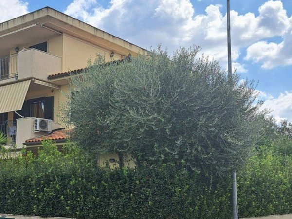 appartamento in vendita a Grosseto in zona Braccagni