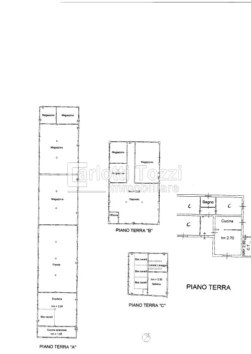 pentavano in vendita a Grosseto in zona San Vincenzo d'Elba