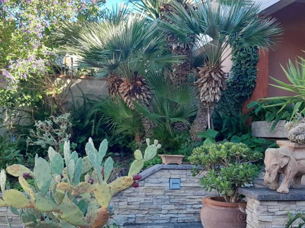 casa indipendente in vendita a Grosseto