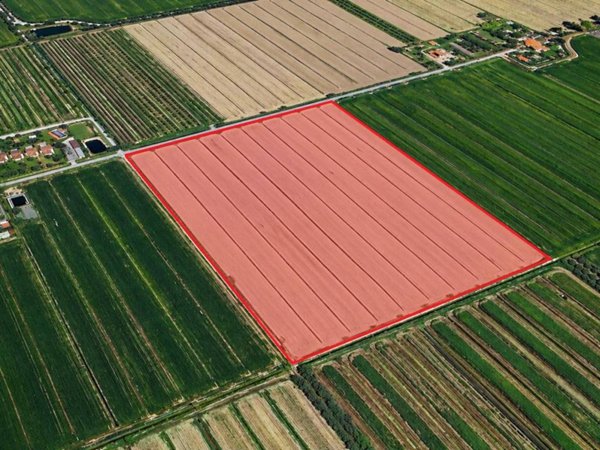 terreno agricolo in vendita a Grosseto