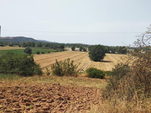 negozio in vendita a Grosseto