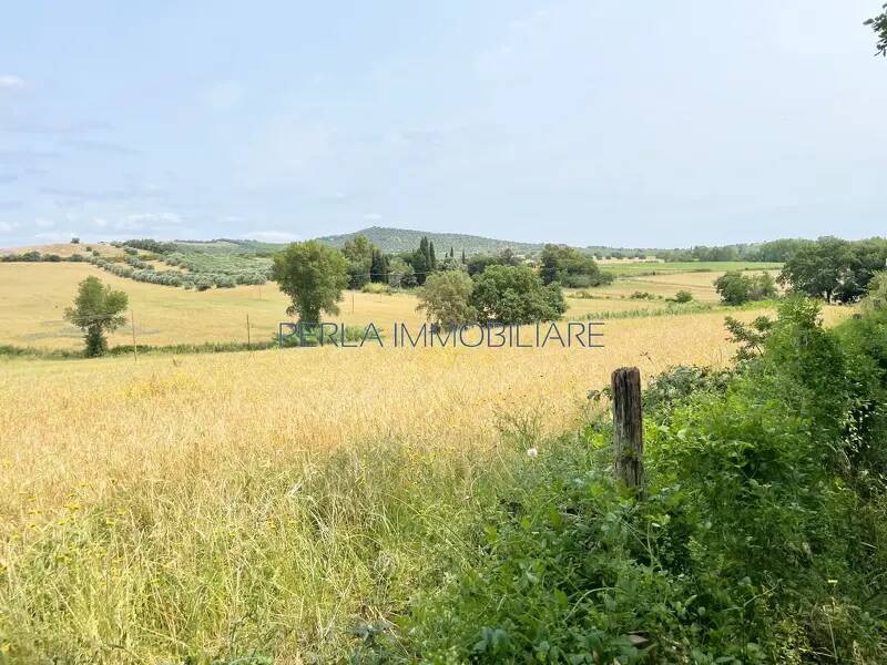 terreno agricolo in vendita a Grosseto in zona Roselle