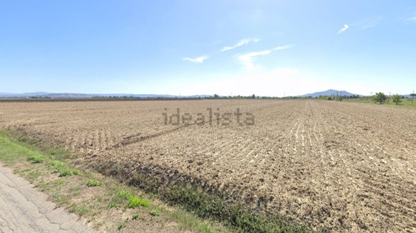terreno agricolo in vendita a Grosseto in zona Principina a Terra