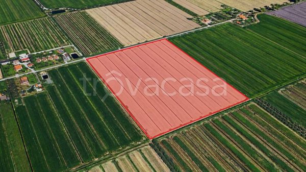 terreno agricolo in vendita a Grosseto in zona La Principina