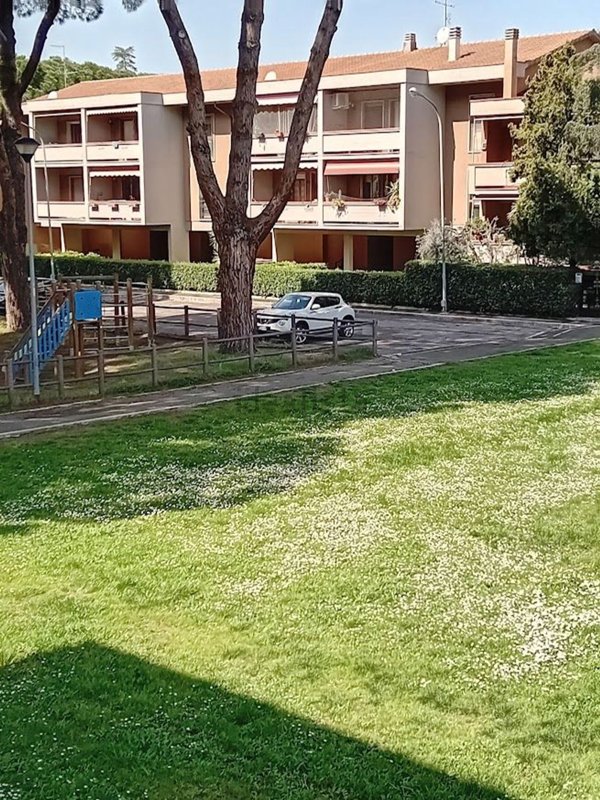 appartamento in vendita a Grosseto