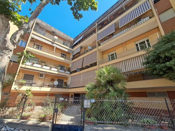 appartamento in vendita a Grosseto