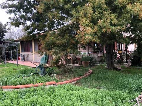 casa indipendente in vendita a Grosseto in zona Braccagni