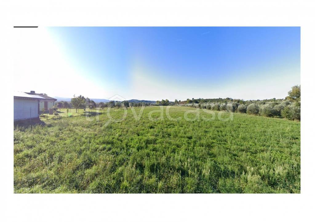 terreno agricolo in vendita a Grosseto