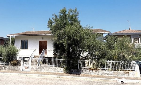 casa indipendente in vendita a Grosseto in zona Poggio Cavallo