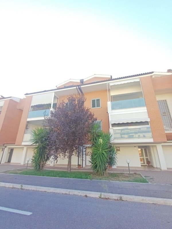 appartamento in vendita a Grosseto in zona Orcagna