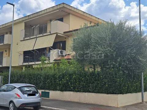 appartamento in vendita a Grosseto in zona Braccagni