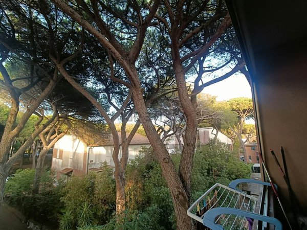 appartamento in vendita a Grosseto in zona Marina di Grosseto