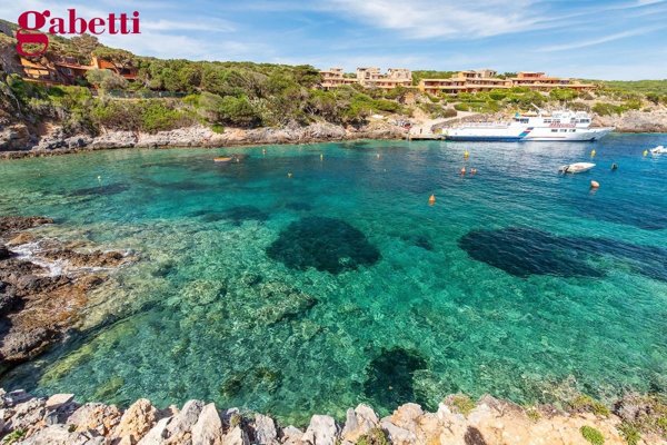 casa indipendente in vendita ad Isola del Giglio