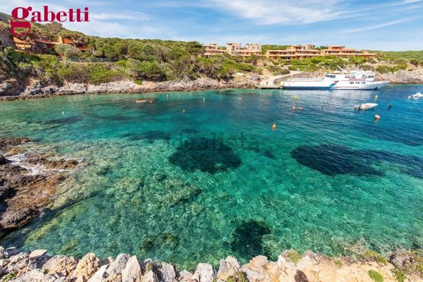 casa indipendente in vendita ad Isola del Giglio