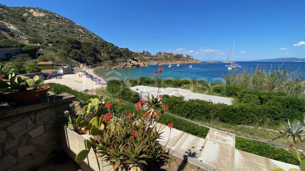 appartamento in vendita ad Isola del Giglio