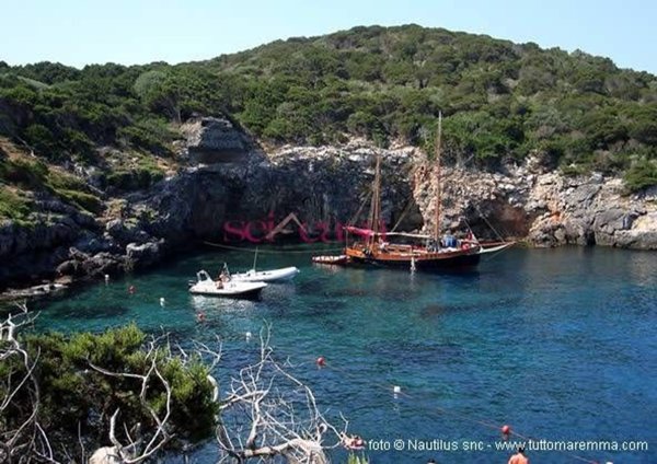 appartamento in vendita ad Isola del Giglio