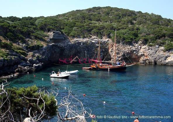 appartamento in vendita ad Isola del Giglio