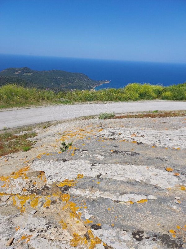 terreno agricolo in vendita ad Isola del Giglio in zona Giglio Castello