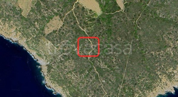 terreno agricolo in vendita ad Isola del Giglio