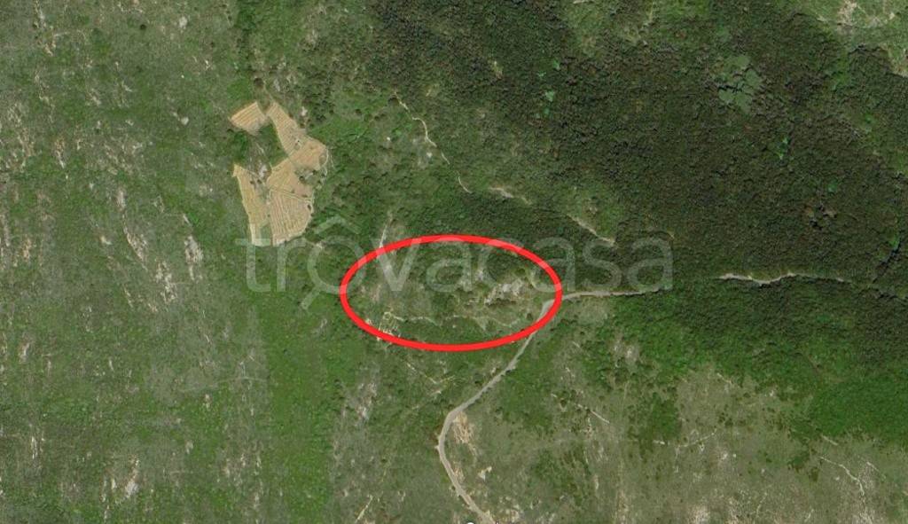 terreno agricolo in vendita ad Isola del Giglio