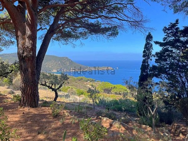 casa indipendente in vendita ad Isola del Giglio