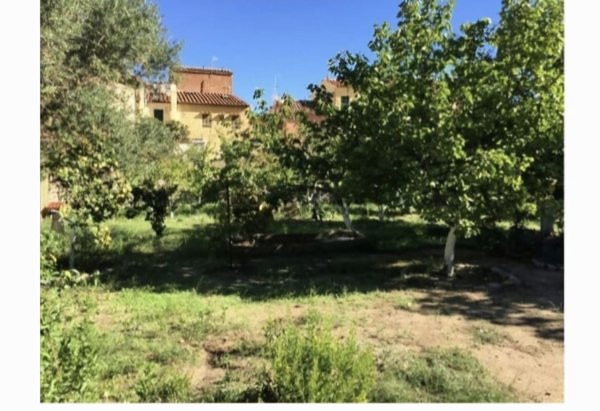 casa indipendente in vendita ad Isola del Giglio in zona Giglio Porto