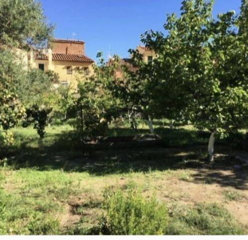 casa indipendente in vendita ad Isola del Giglio in zona Giglio Porto