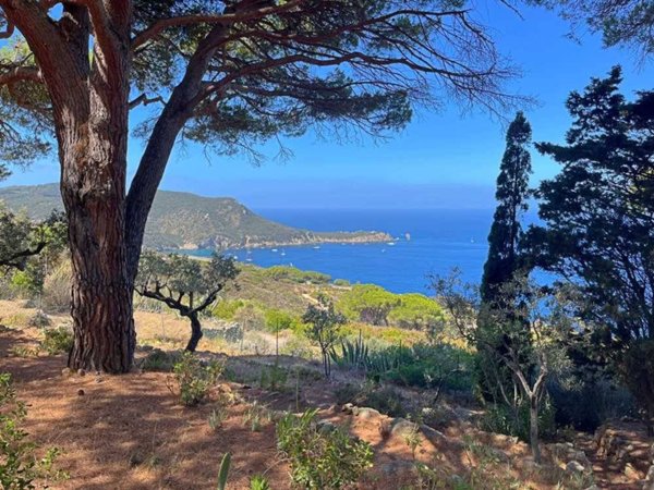 casa indipendente in vendita ad Isola del Giglio