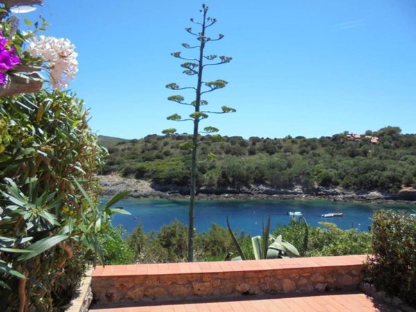 appartamento in vendita ad Isola del Giglio