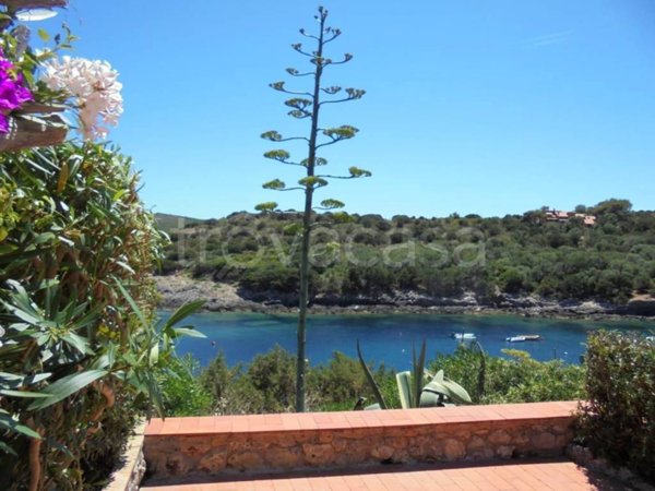 appartamento in vendita ad Isola del Giglio