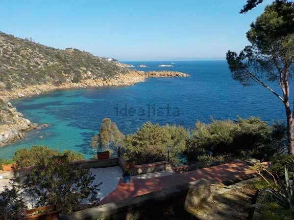 esavano in vendita ad Isola del Giglio