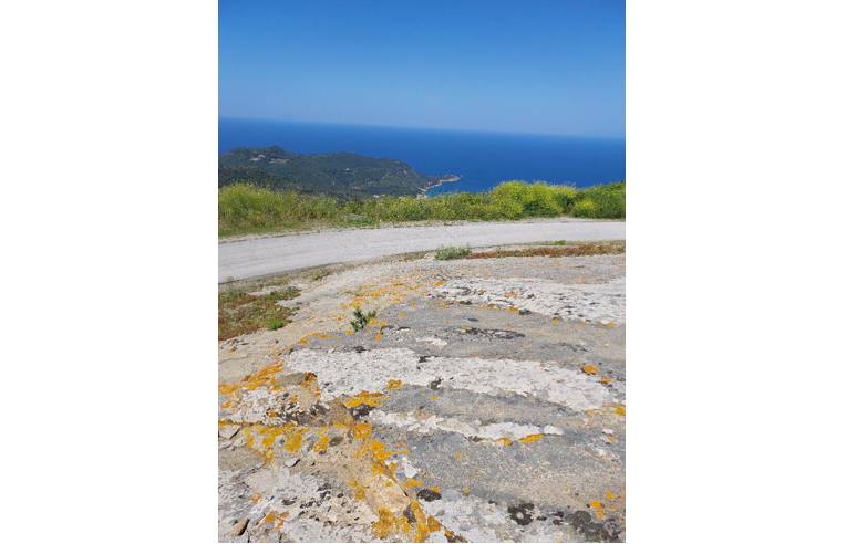 terreno agricolo in vendita ad Isola del Giglio in zona Giglio Castello