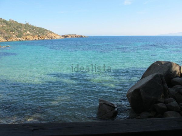 esavano in vendita ad Isola del Giglio in zona Giglio Porto